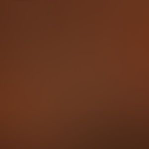 Meet your Posher, Nina